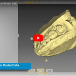 inLab SW 18: Restore Scan Model Data